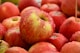 Organic Apples (1 kg)