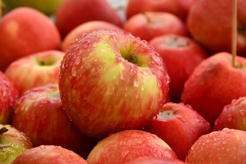 frutas vermelhas da maçã