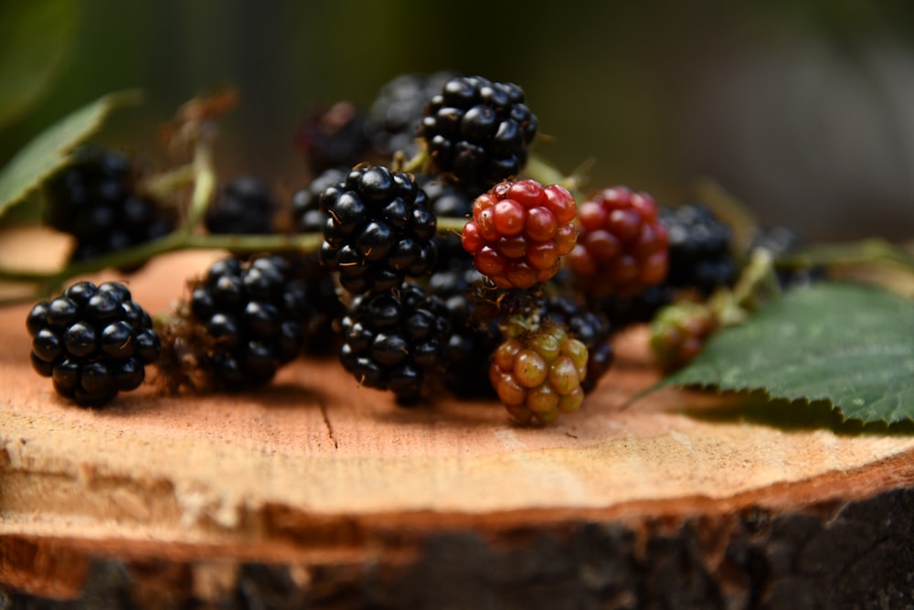 Frutos negros y marrones