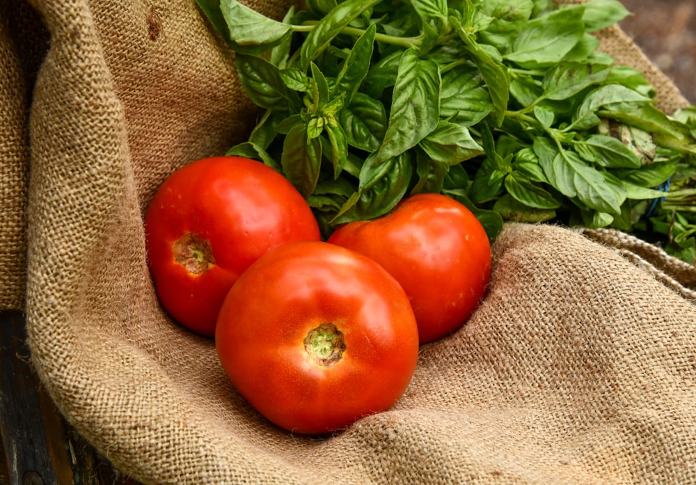 three red tomatoes