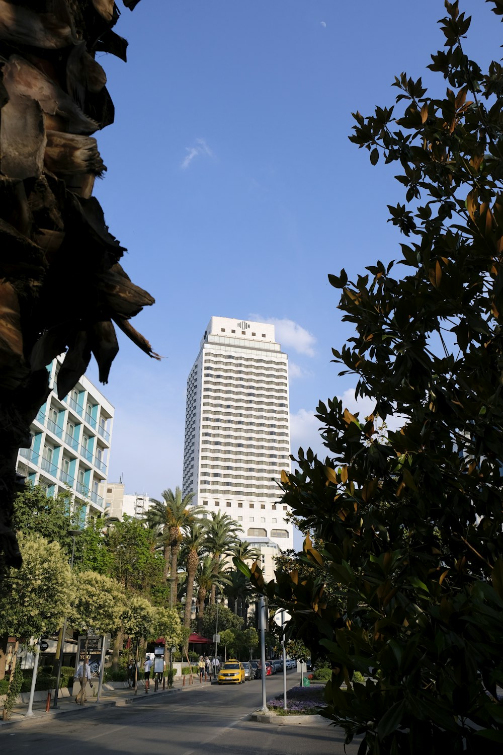 Árvores verdes em todo o edifício da torre branca