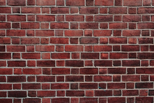 Pared de ladrillos