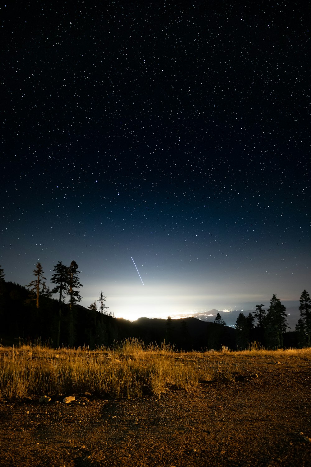 Silueta de árboles durante la noche