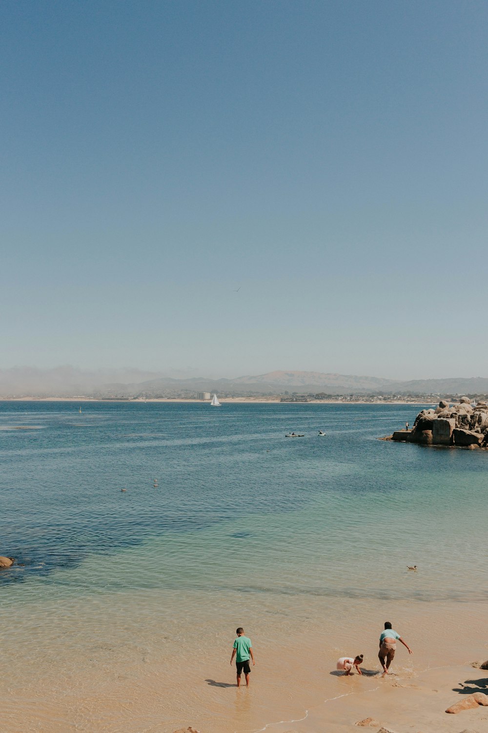 people on seashore