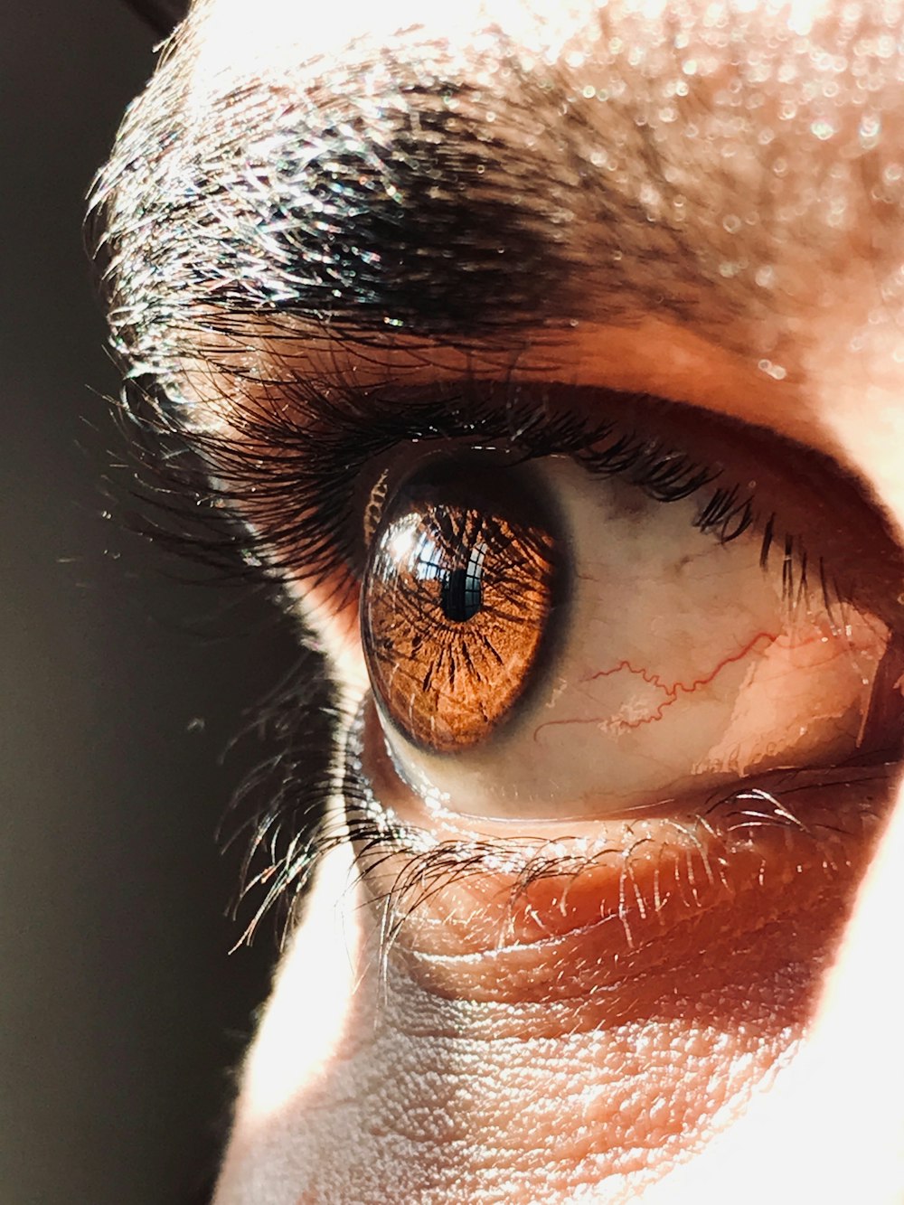 a close up of a person's brown eye