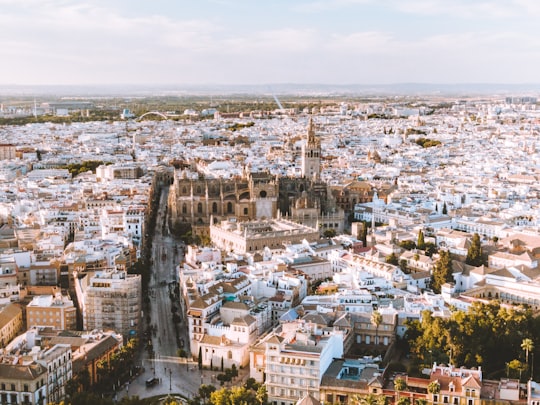 photo of Sevilla Town near Seville