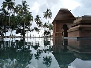 a swimming pool with palm trees in the background