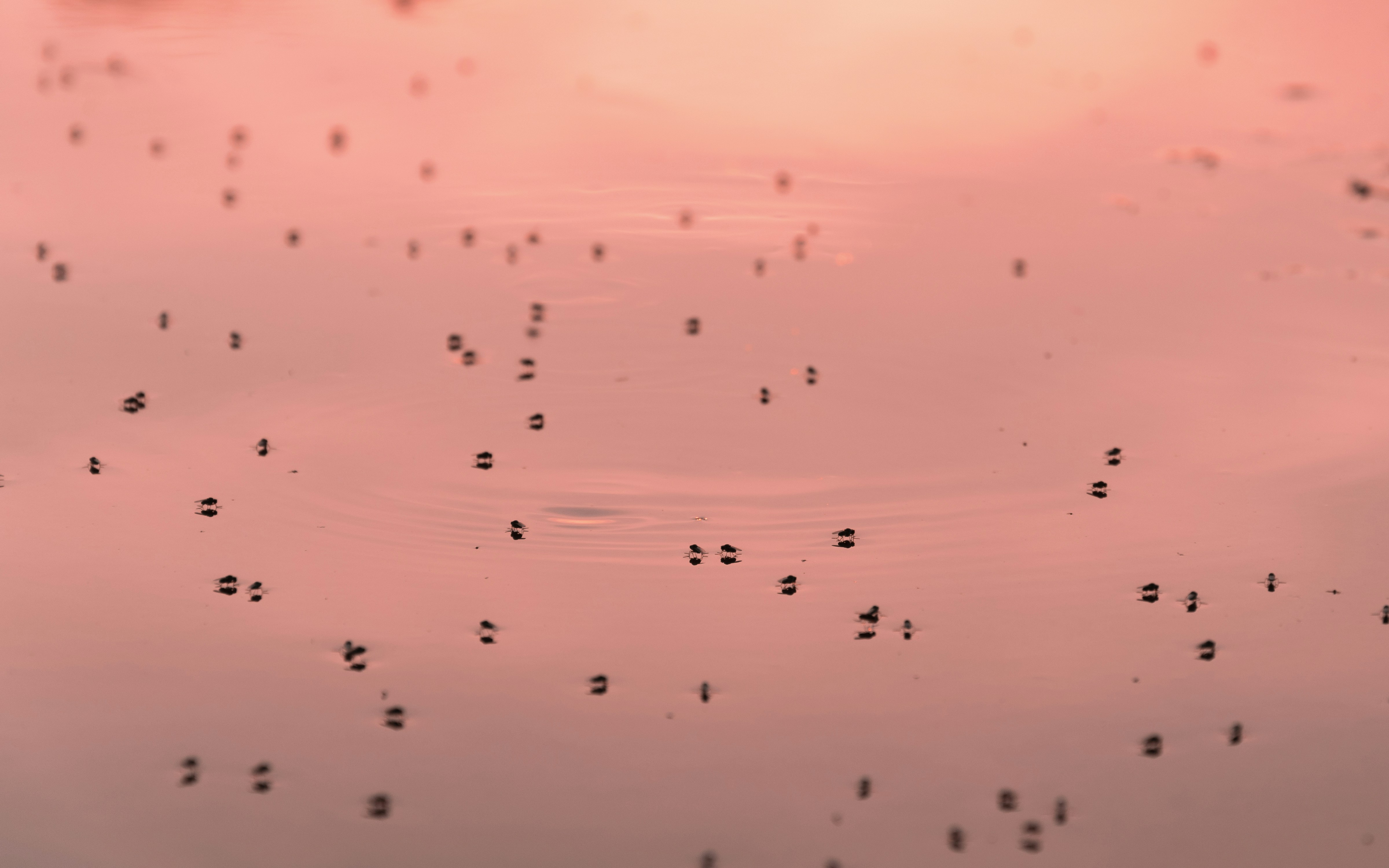 AWS inaugure un hub d’innovation pour accélérer le développement du cloud et de l’IA en Asie-Pacifique