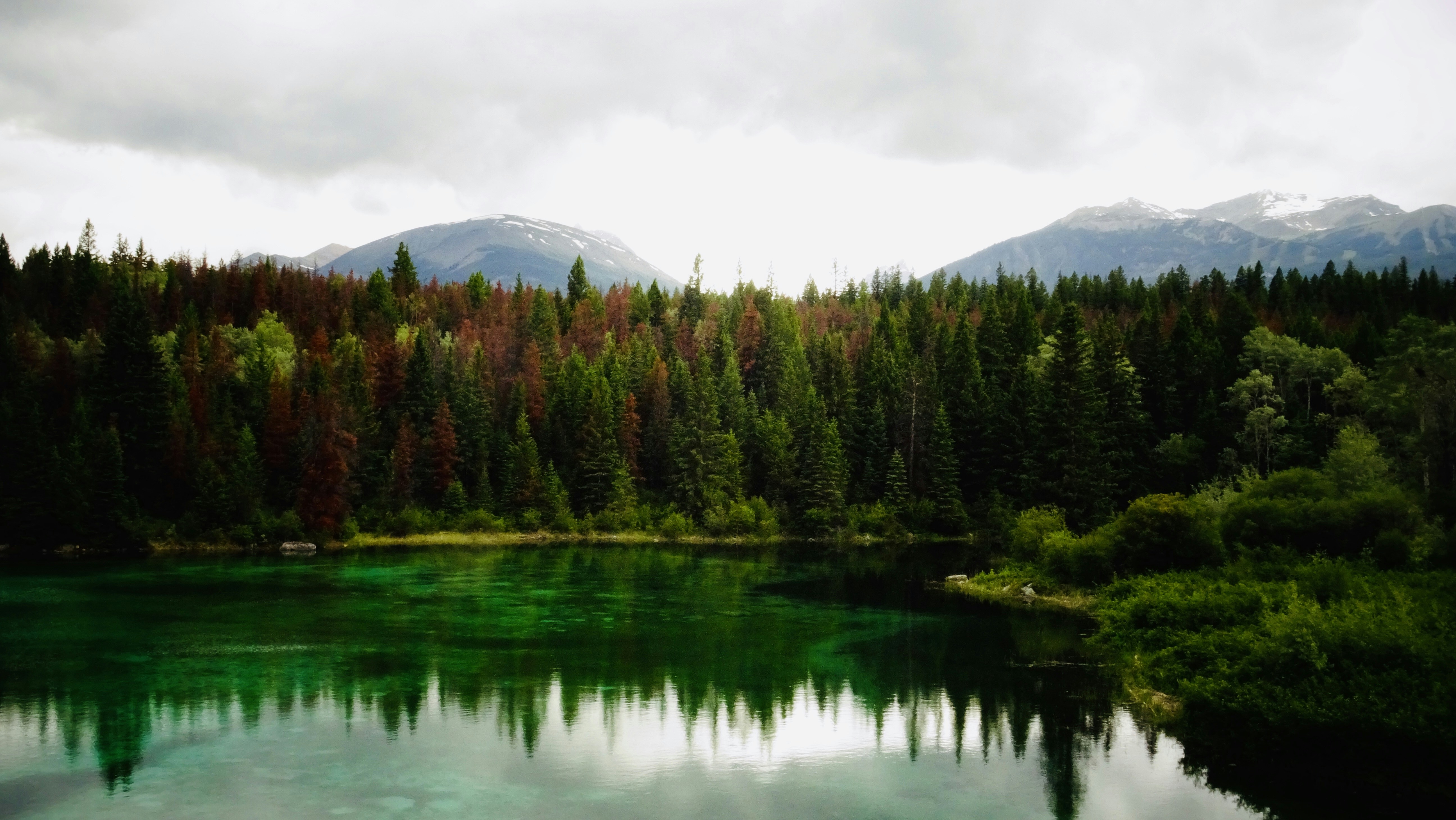 Photo by capturesawyer