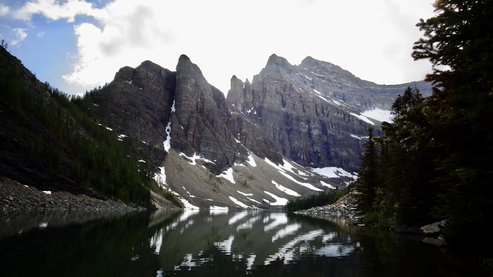 trees beside mountain near body of water