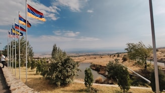 A scenic landscape showcasing land boundaries marked by survey flags.