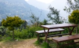 Outdoor patio with picnic tables surrounded by nature.