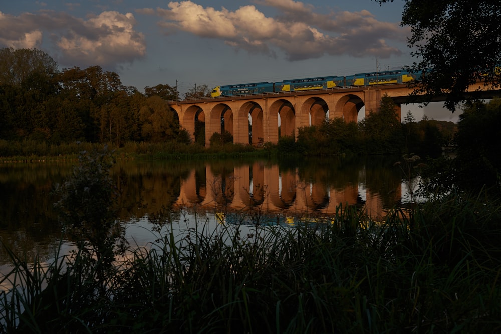 brown concrete viaduct