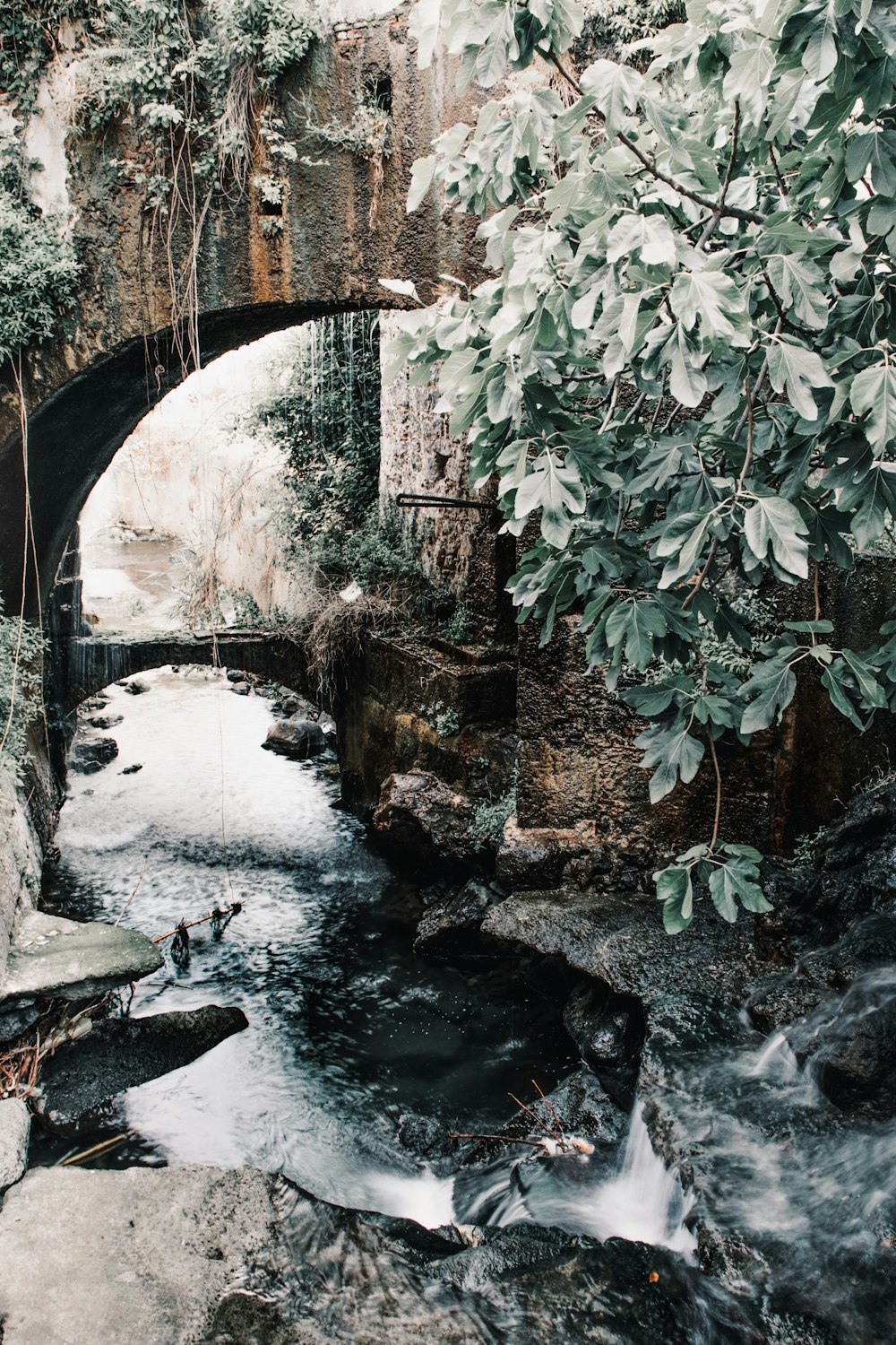 bridge above creek during day