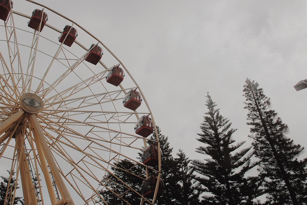 ferris wheel photography