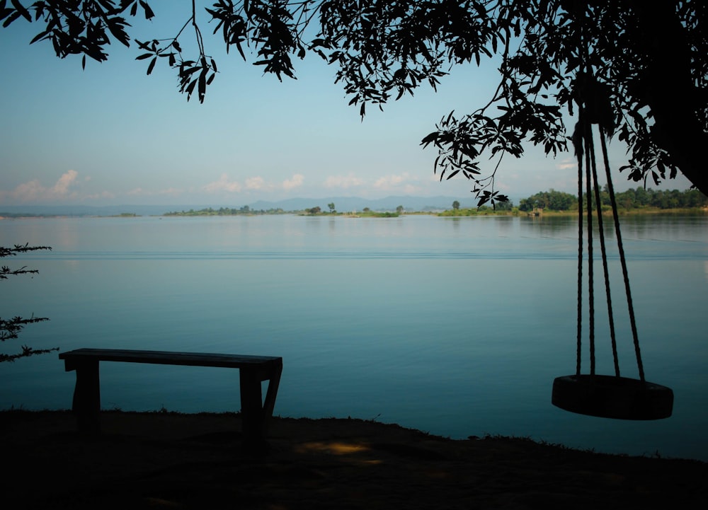 a swing hanging from a tree next to a body of water