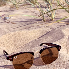 black framed brown lens sunglasses