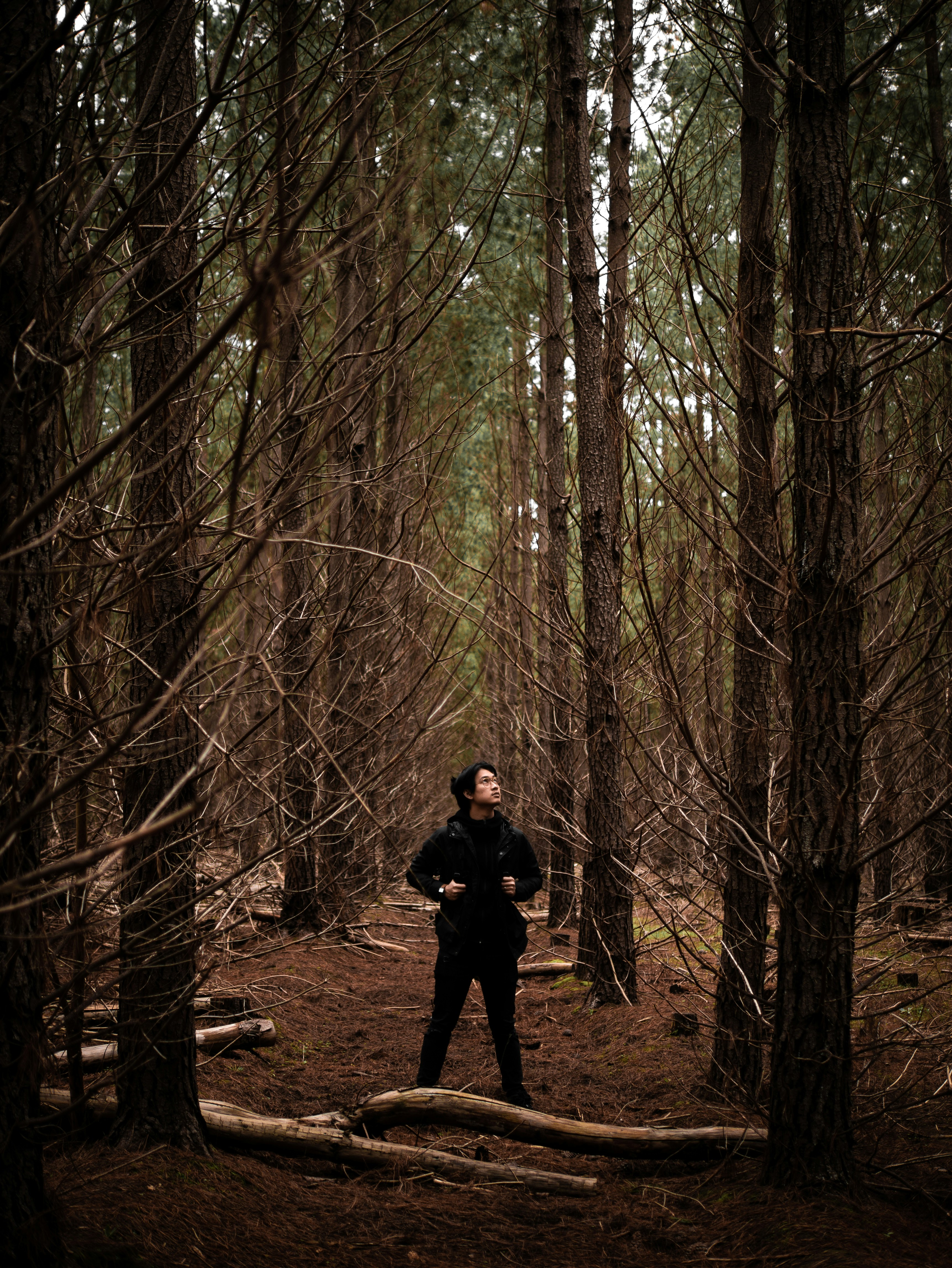 Photo by theandrewteoh