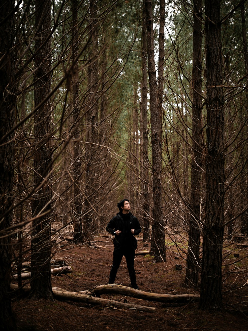 man in black jacket and pants standing between trees