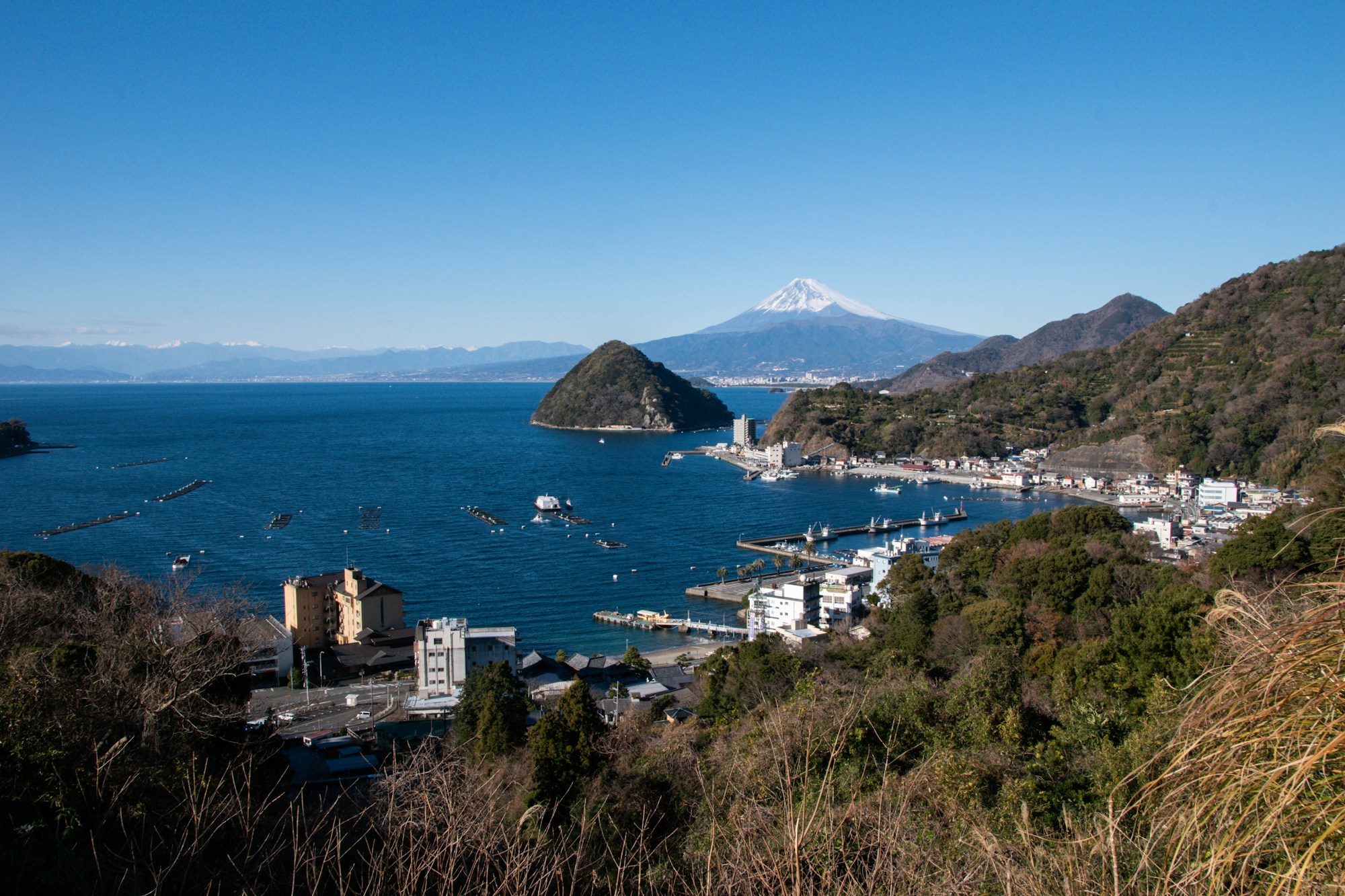 Numazu Local Cuisine: Traditional Dishes and Famous Eateries