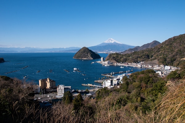 Numazu Local Cuisine: Traditional Dishes and Famous Eateries