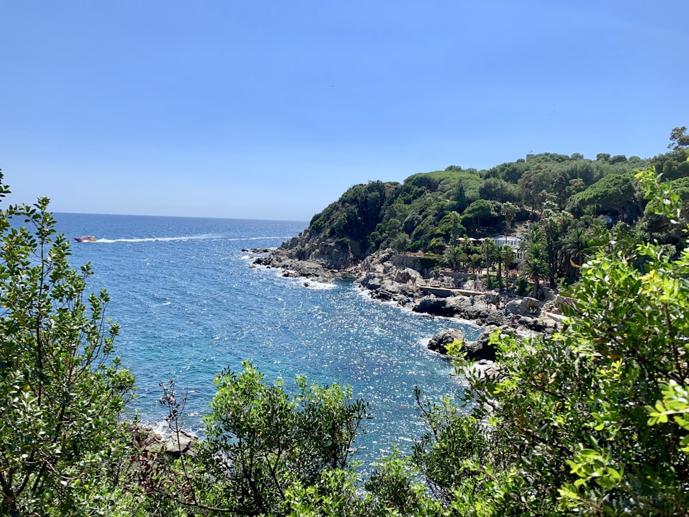 Vista aérea de la isla