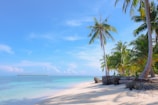 a tropical beach with palm trees and clear water
