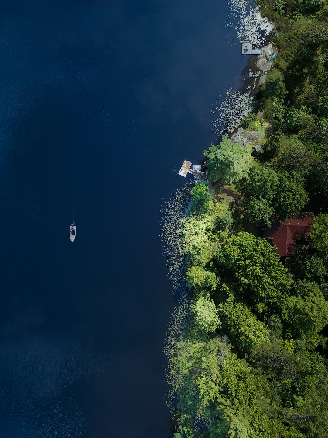 aerial photography of sea