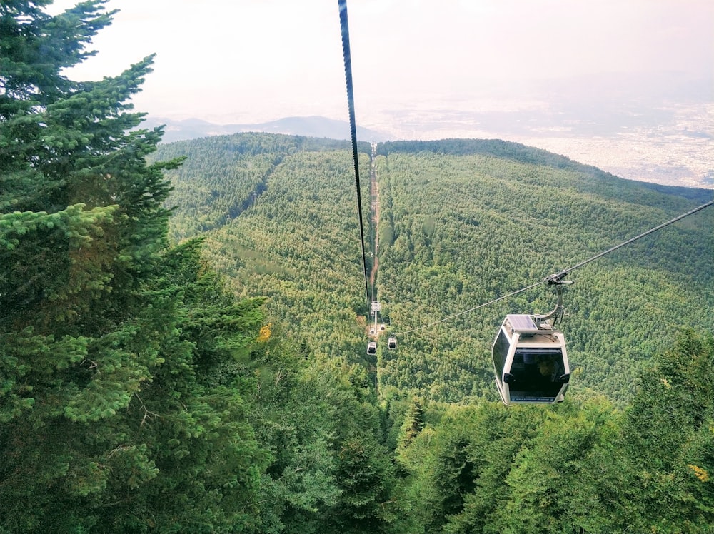 cable carts above trees during day