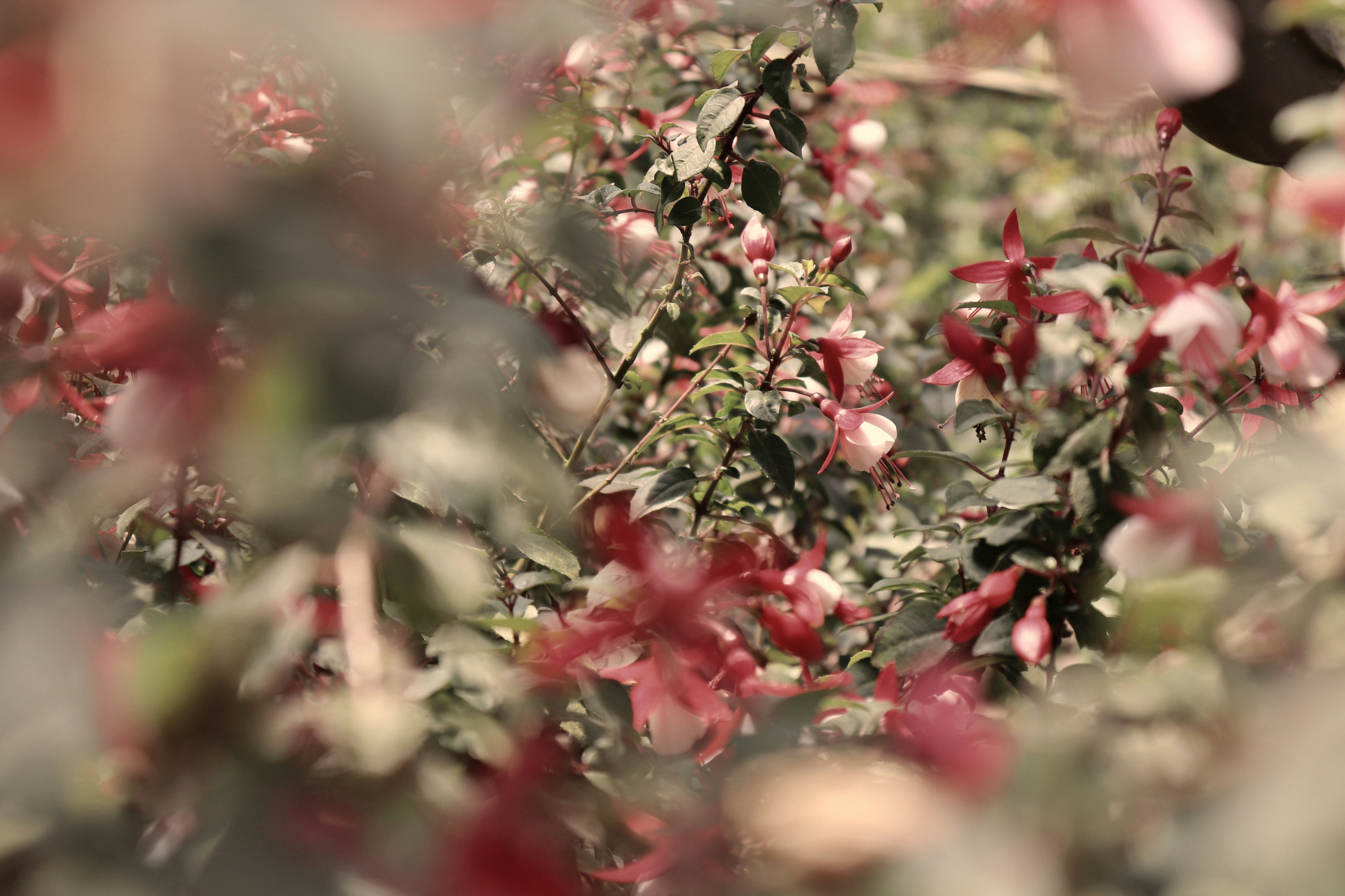 Photo by dharsh_durai