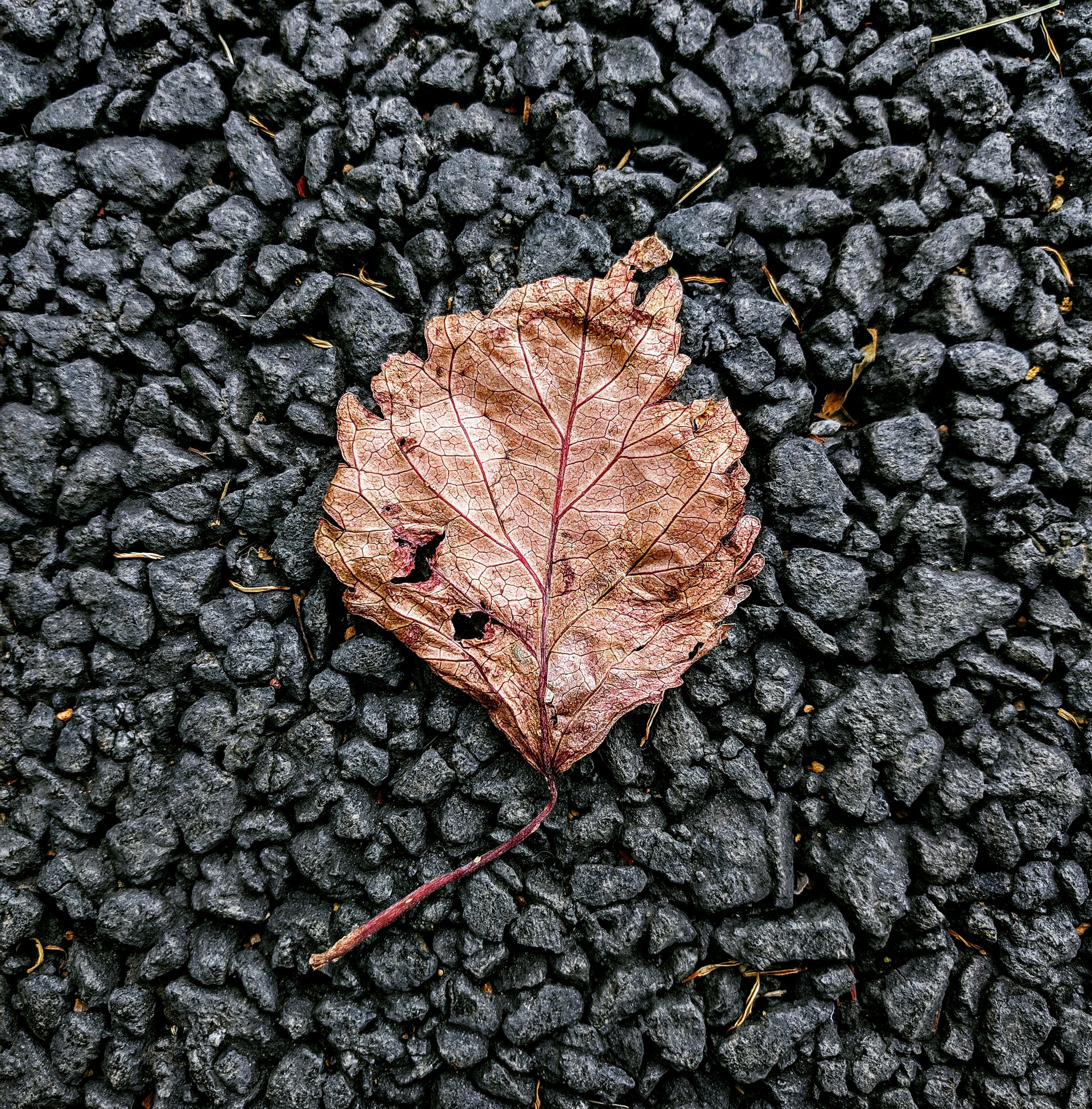 Dirty Tactics from a Dirty
Industry: Lessons Learned from the Fight over HB 6