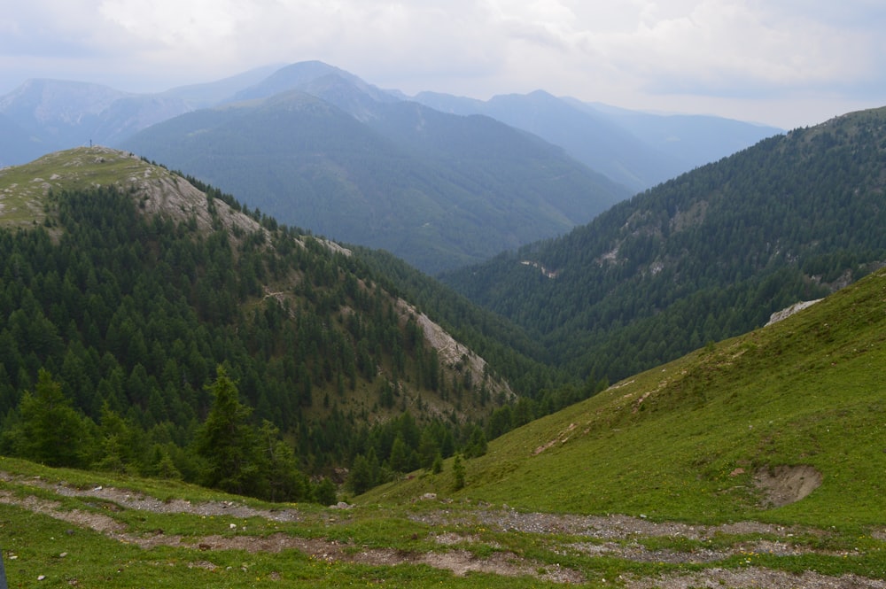 green field viewing mountain during daytime