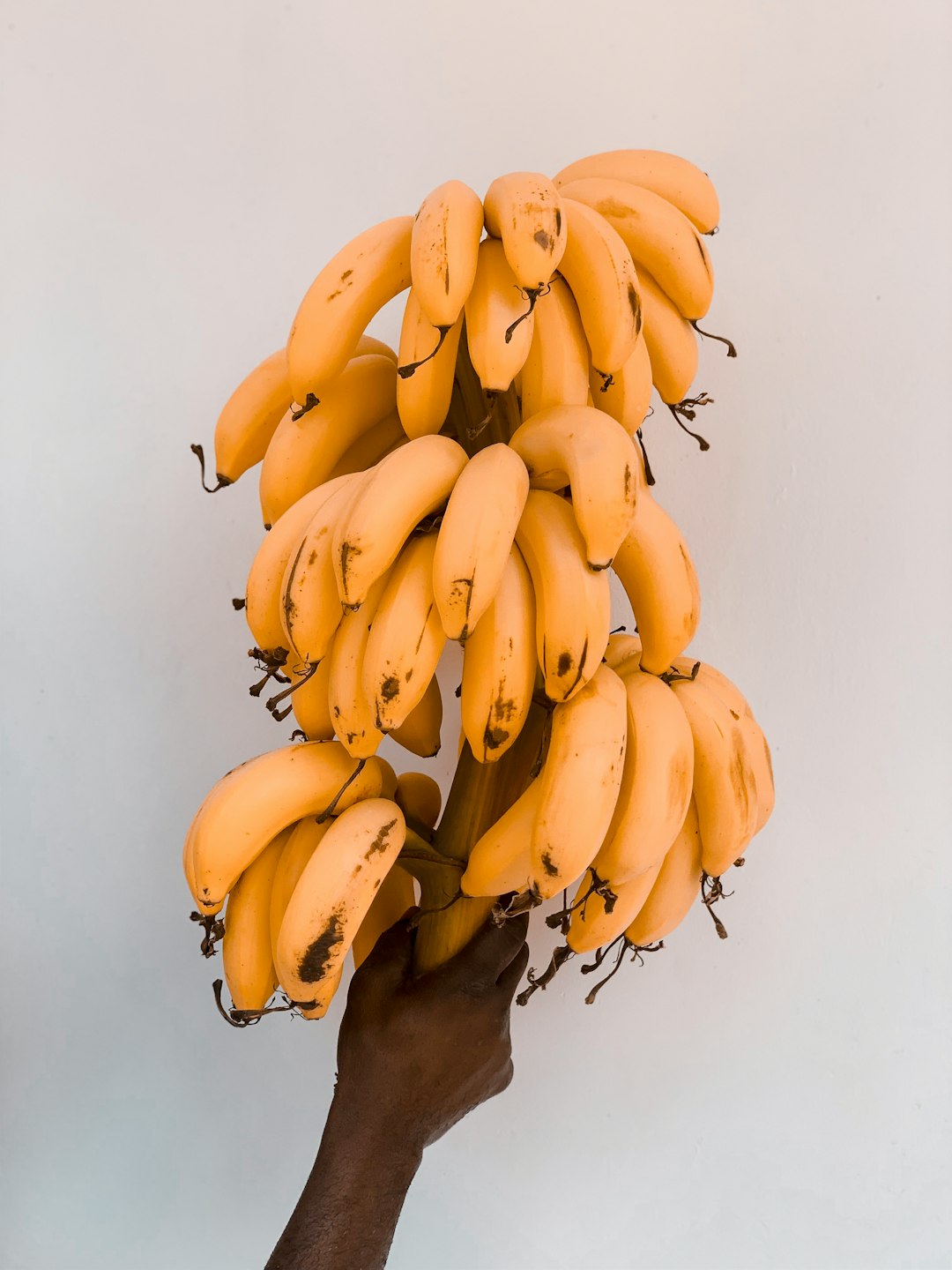 ripe bananas