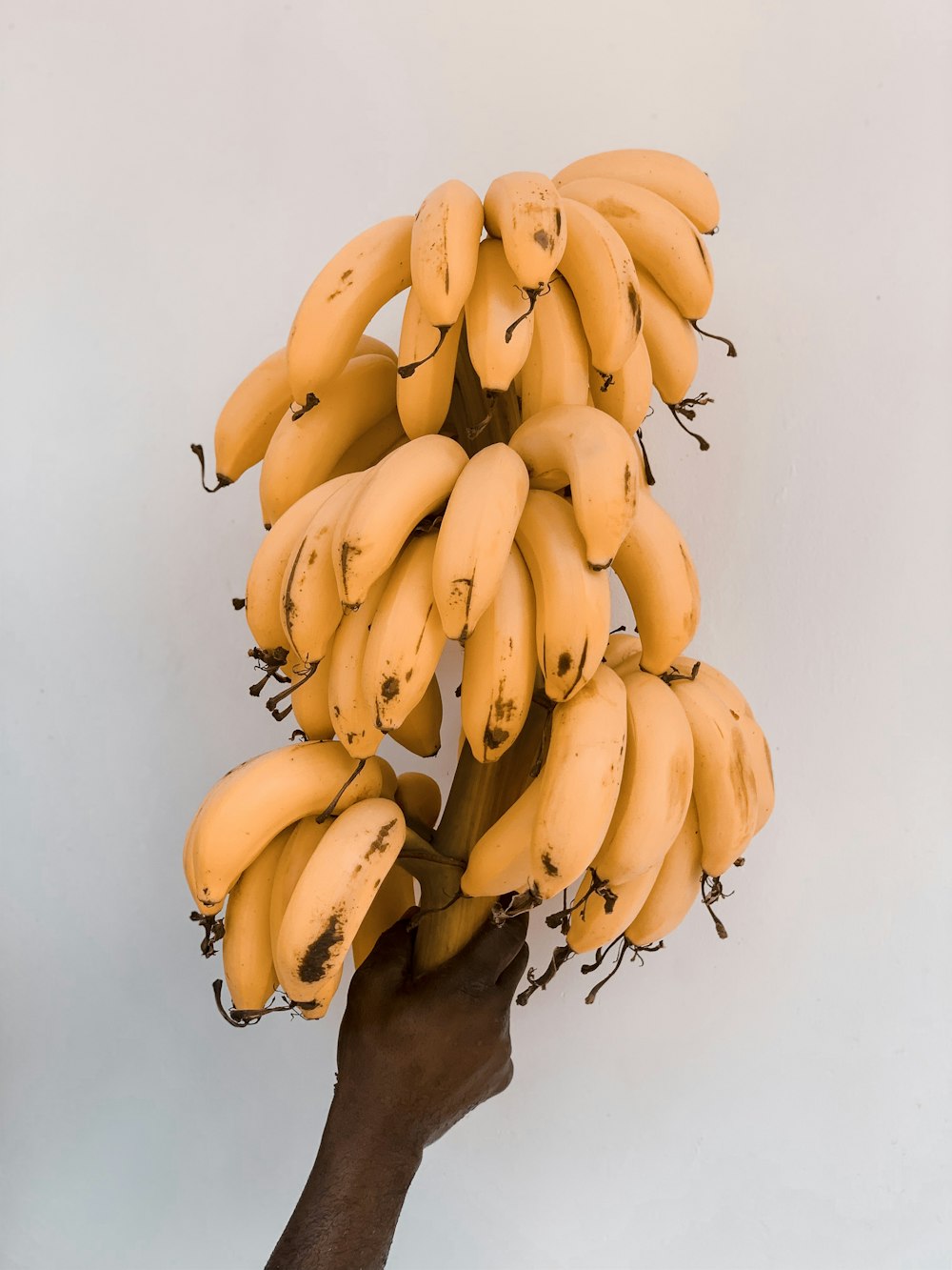 Yellow Banana Peels Photo Free Food Image On Unsplash