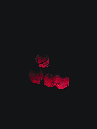 A glowing red lantern illuminating a dark evening scene.