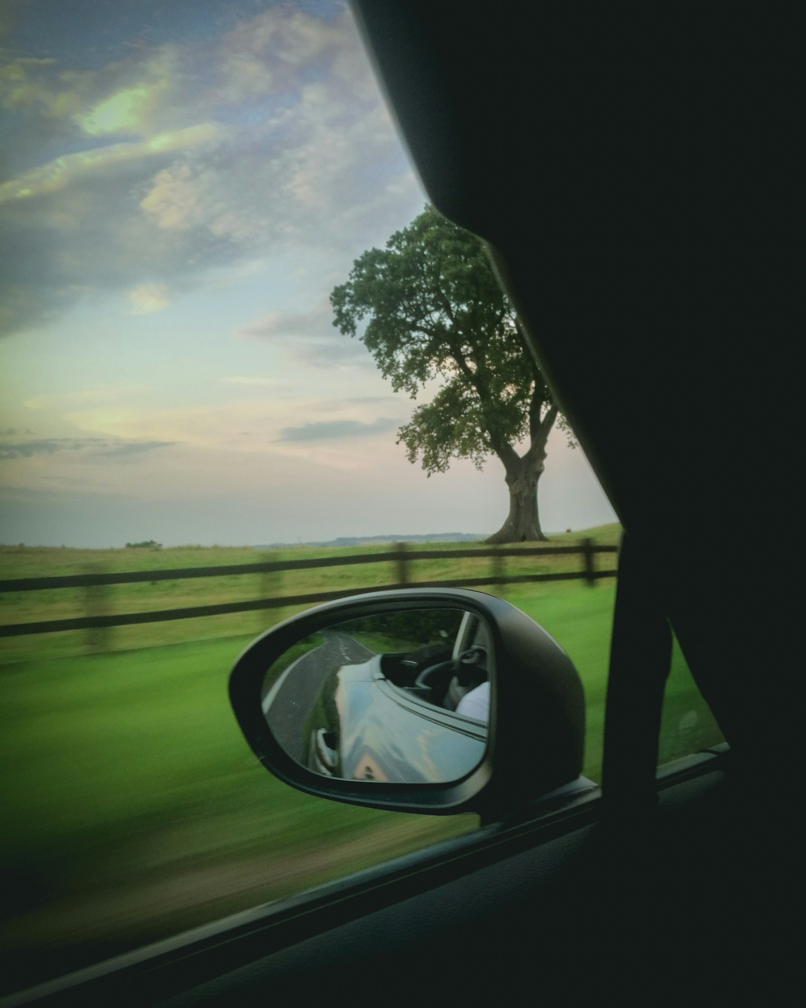 Napier Forestry Traffic Management