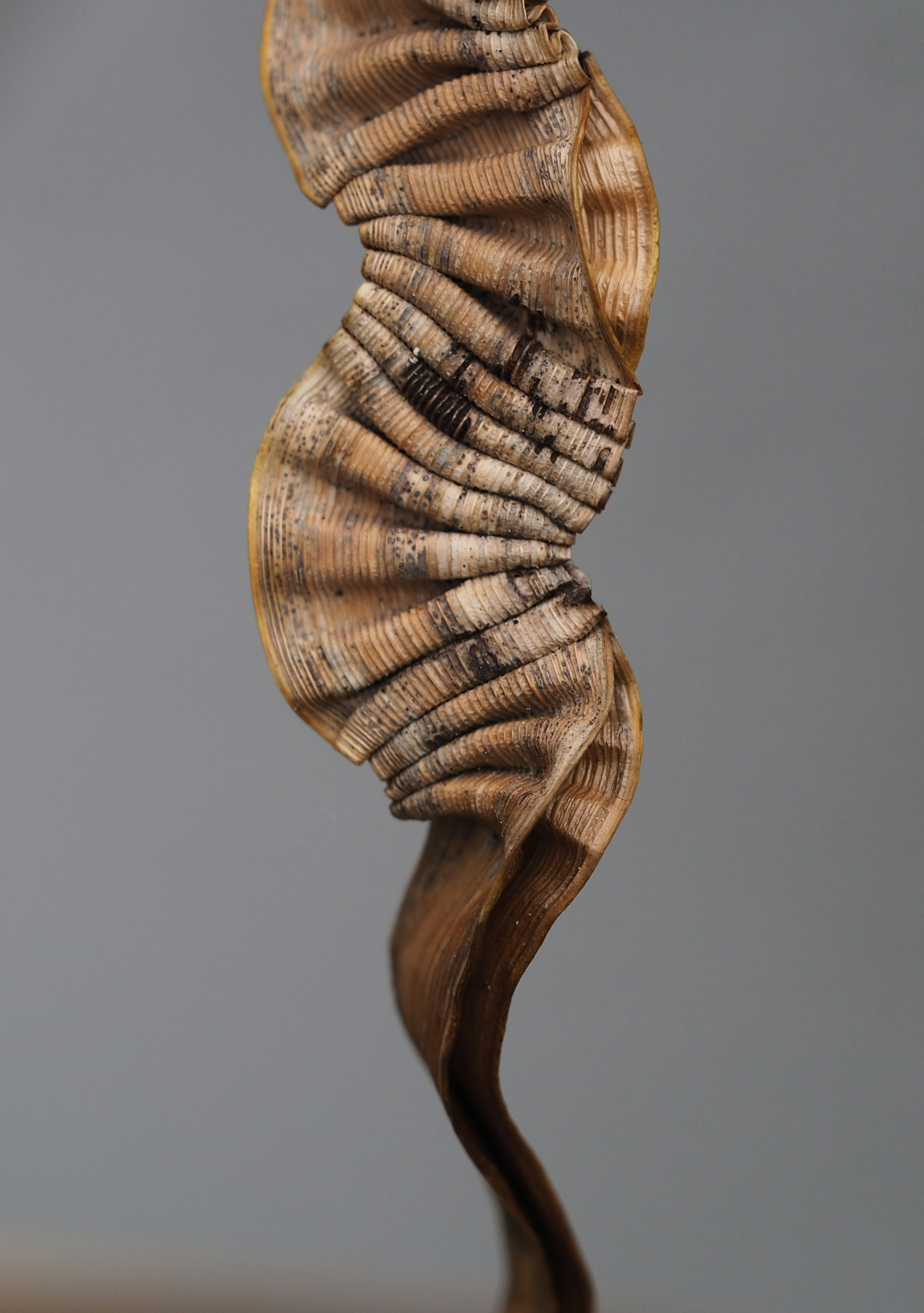 Photo by tanxenciasenlazadas