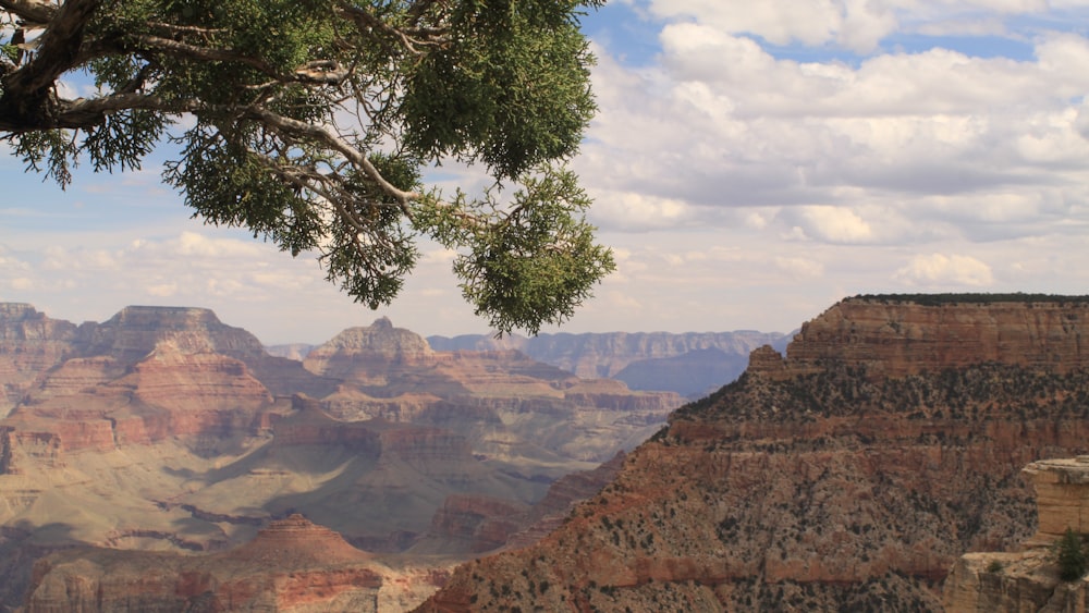 mountain and trees