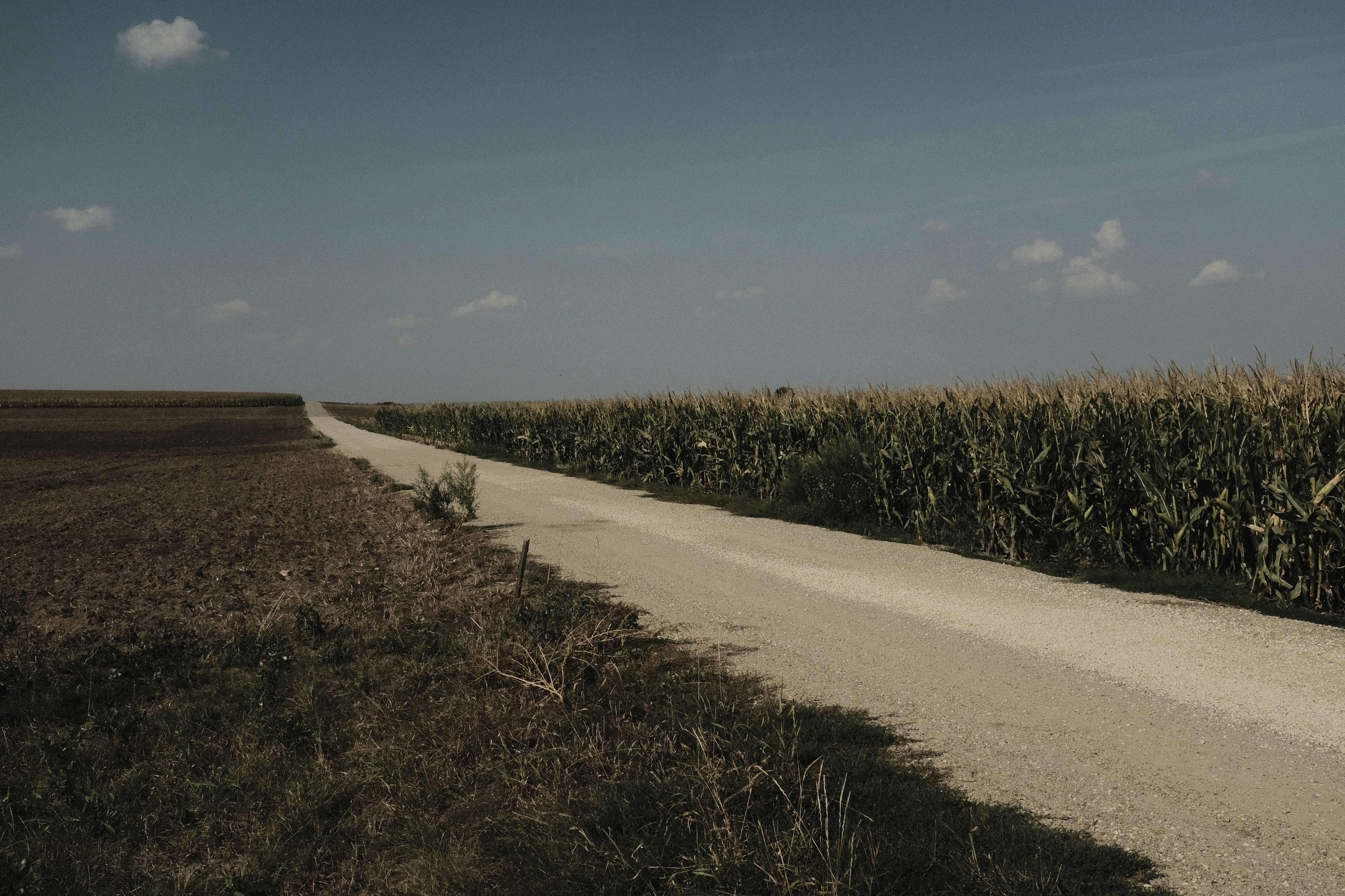 empty road between corn field