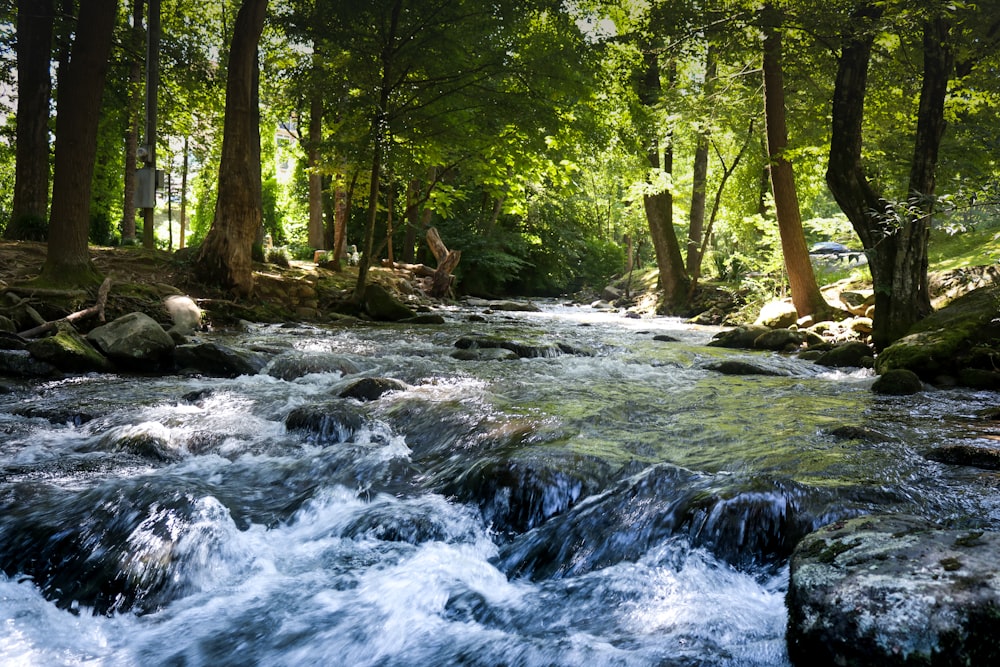 photography of river during daytime