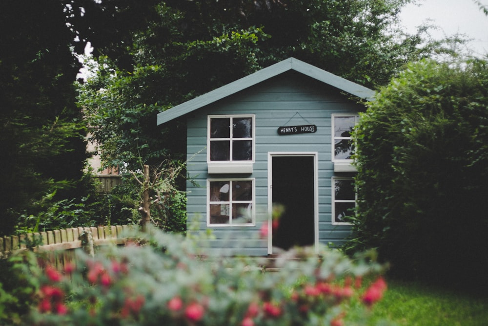 blue and white wooden cabinet