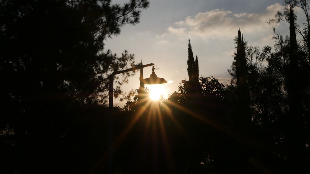 street lamp beside tree