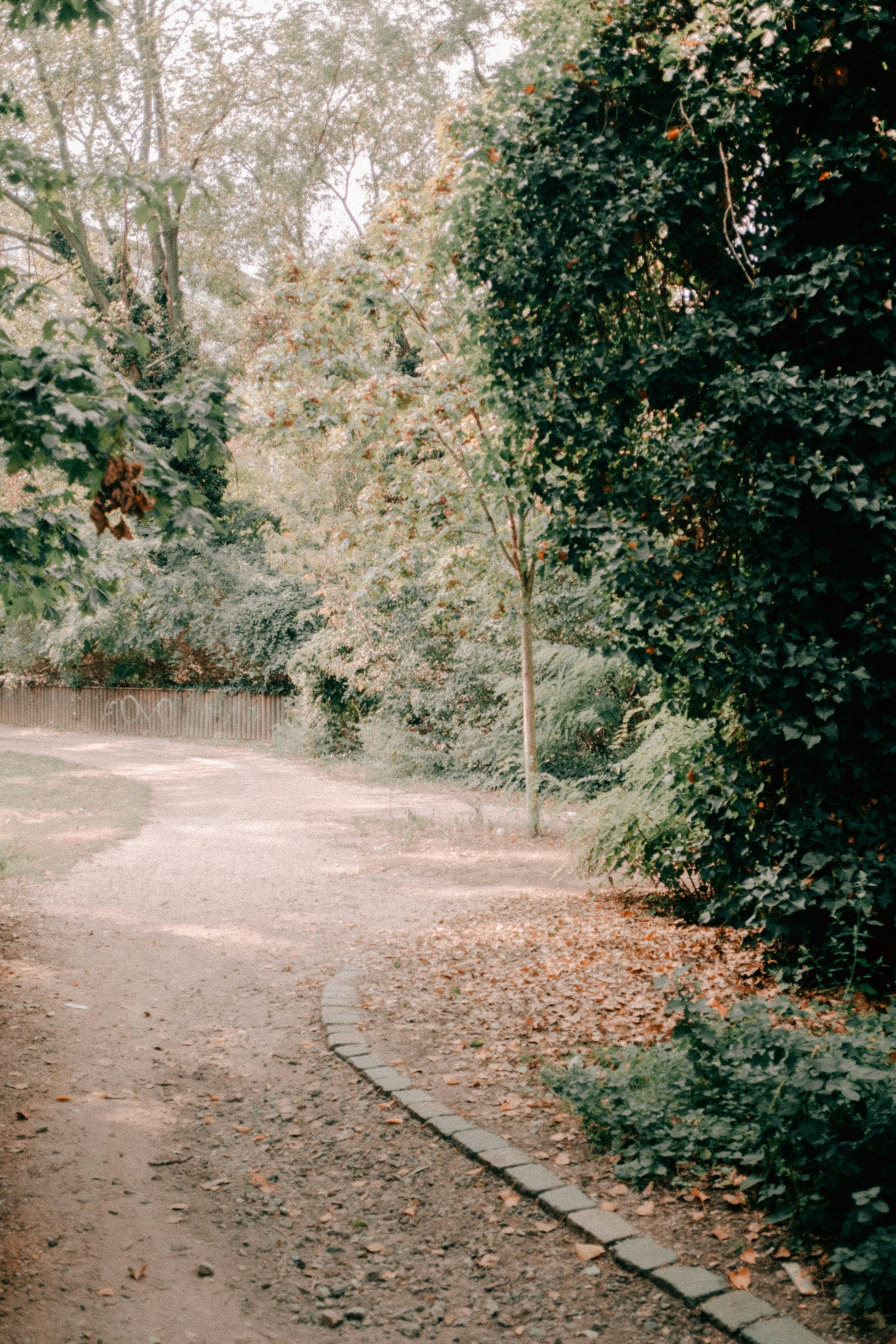 Photo by danylo_in_nl