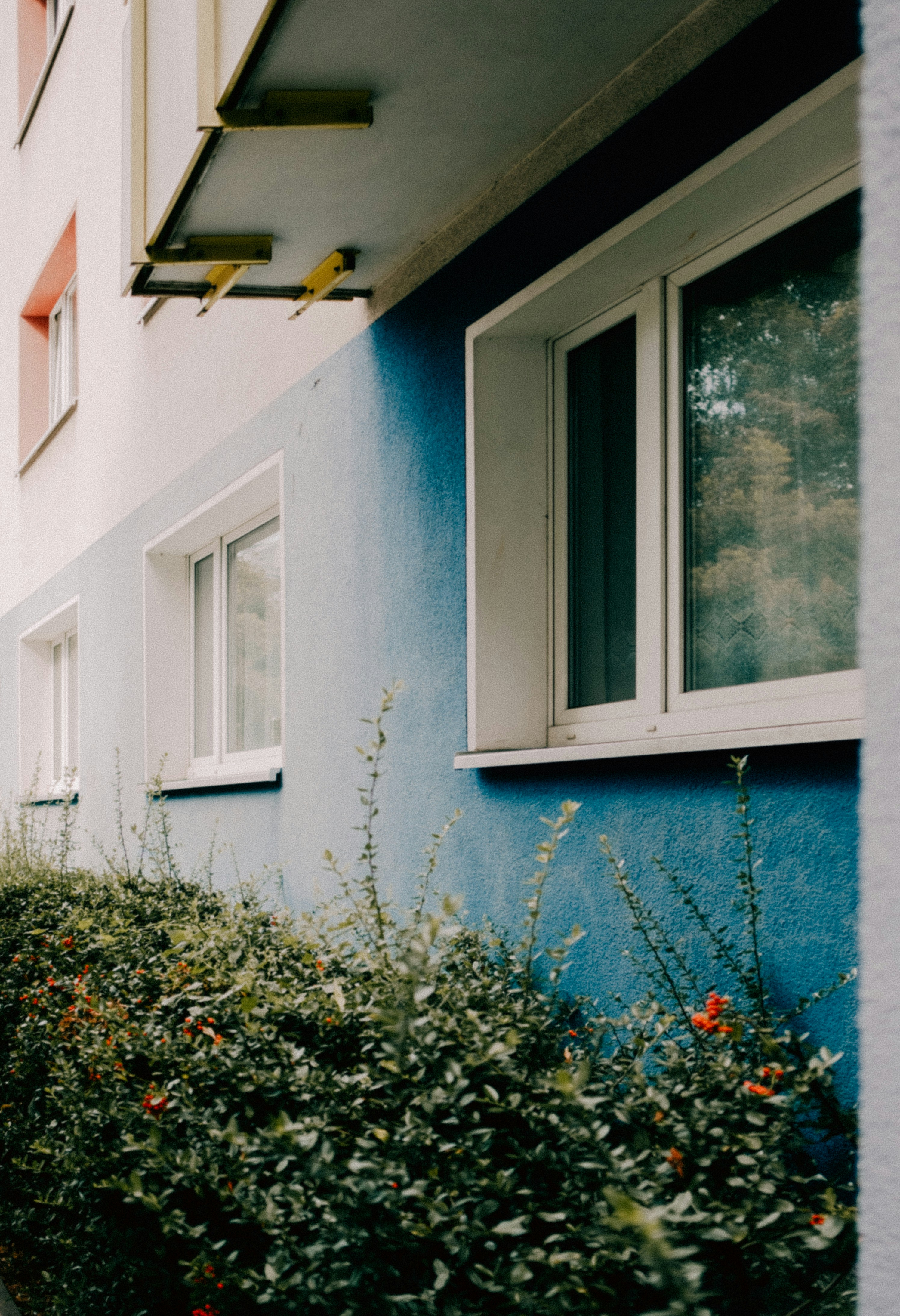 Photo by danylo_in_nl