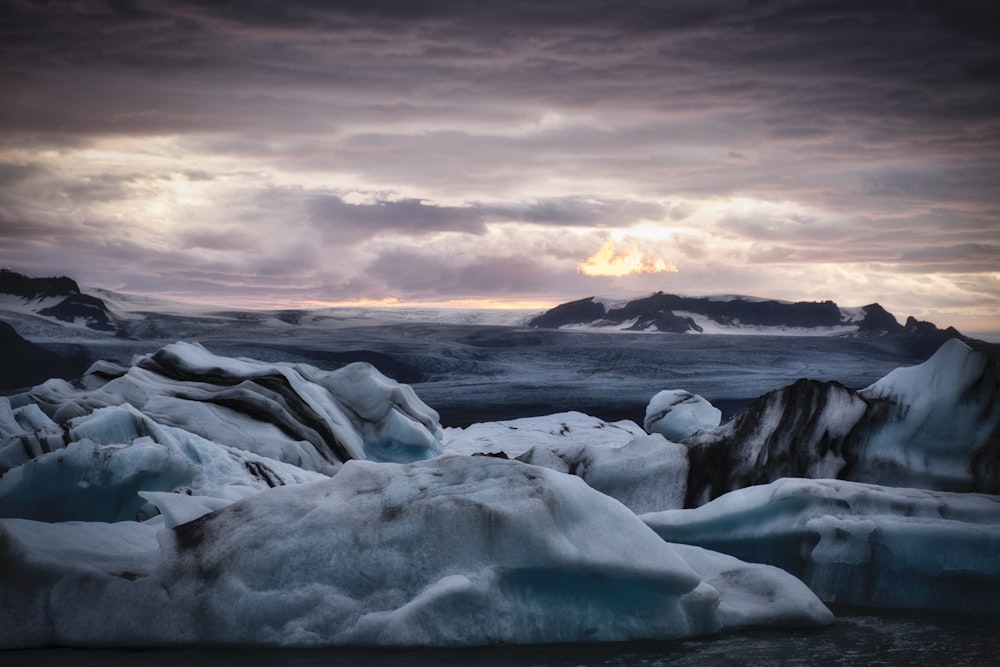 white and black ice berg