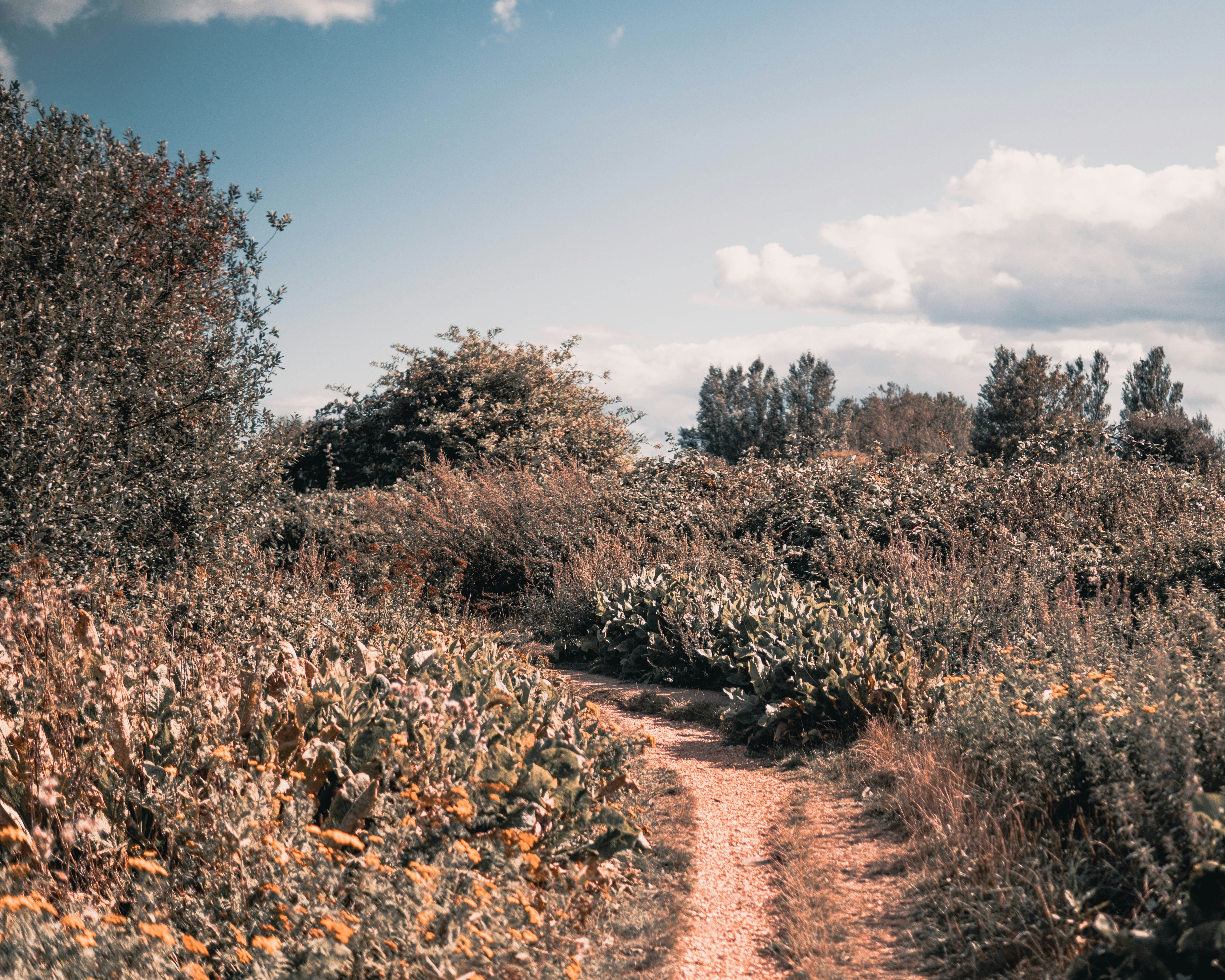 Photo by richbrannen