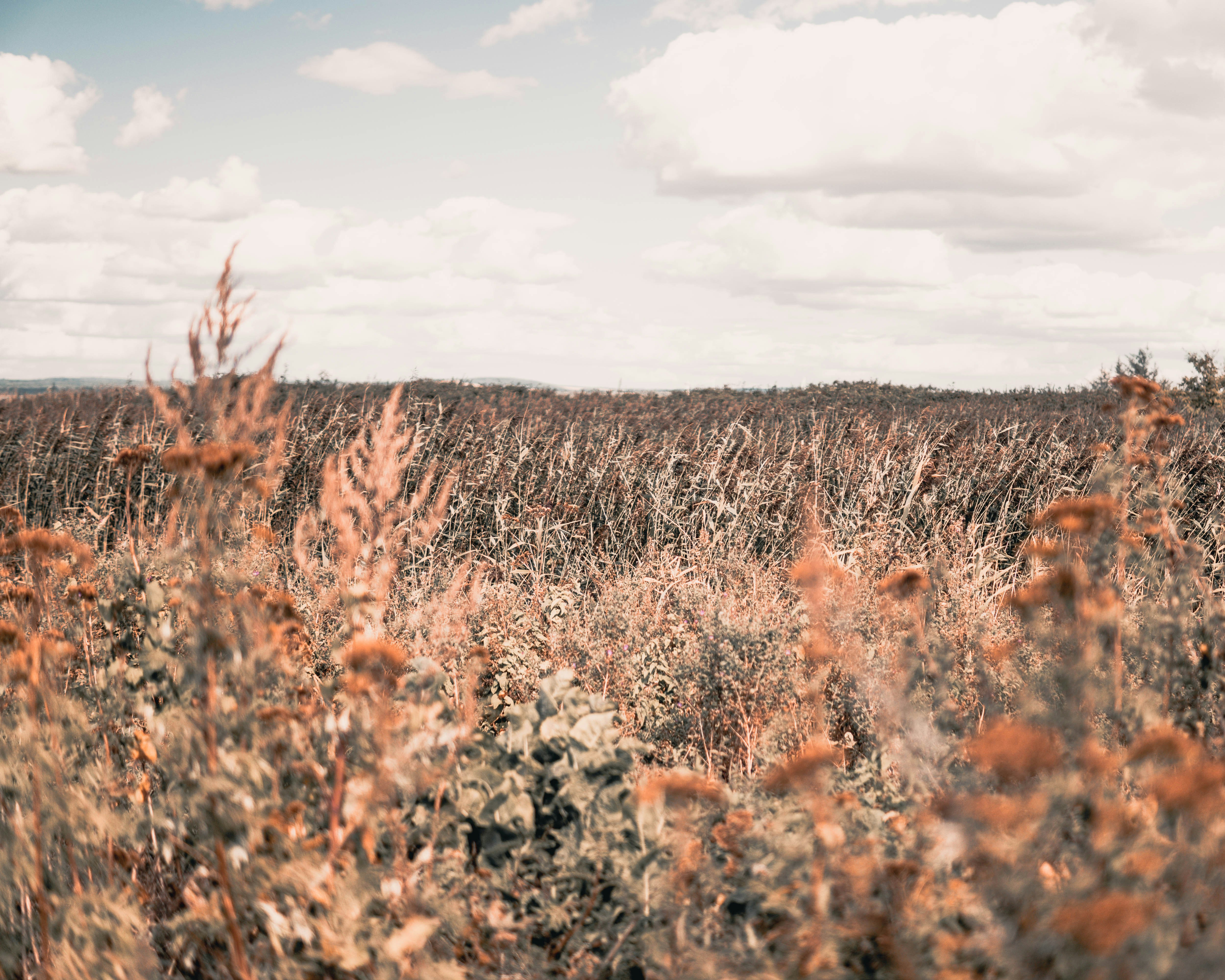 Photo by richbrannen