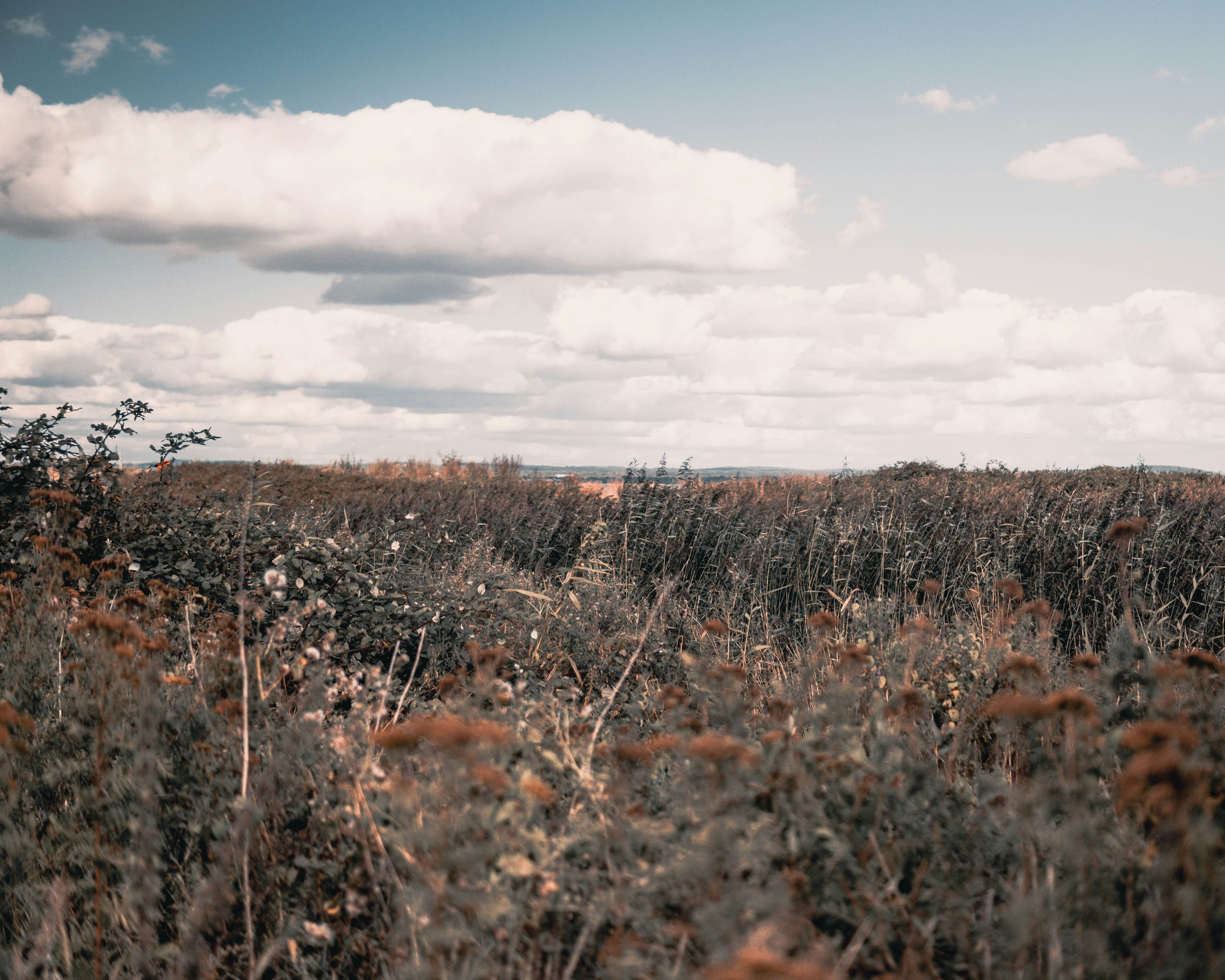 Photo by richbrannen