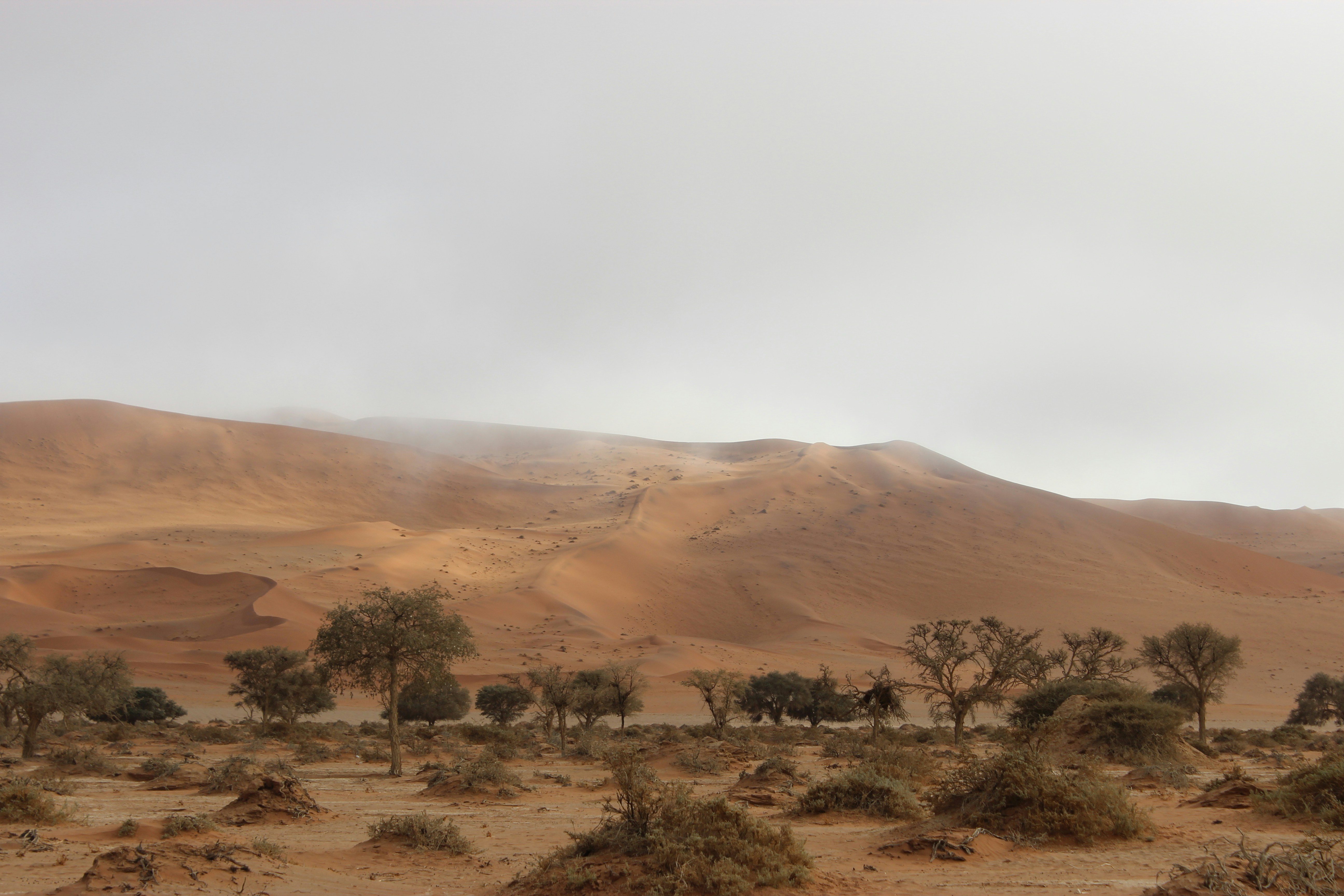 Africa's Supply Chain Upheaval: How Geopolitical Shifts Are Reshaping Investment Opportunities Across Commodities and Trade