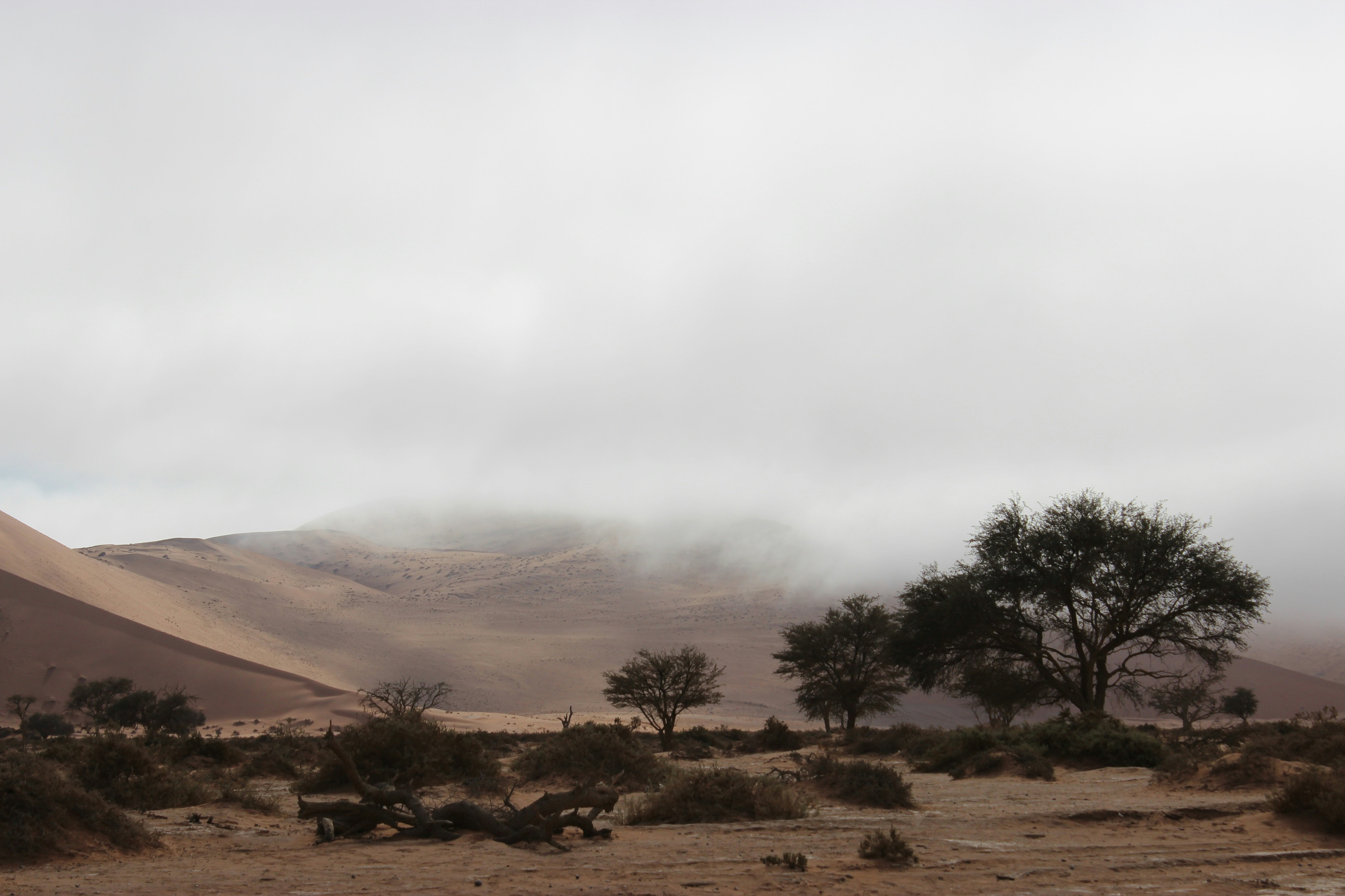 Photo by jmpeltier